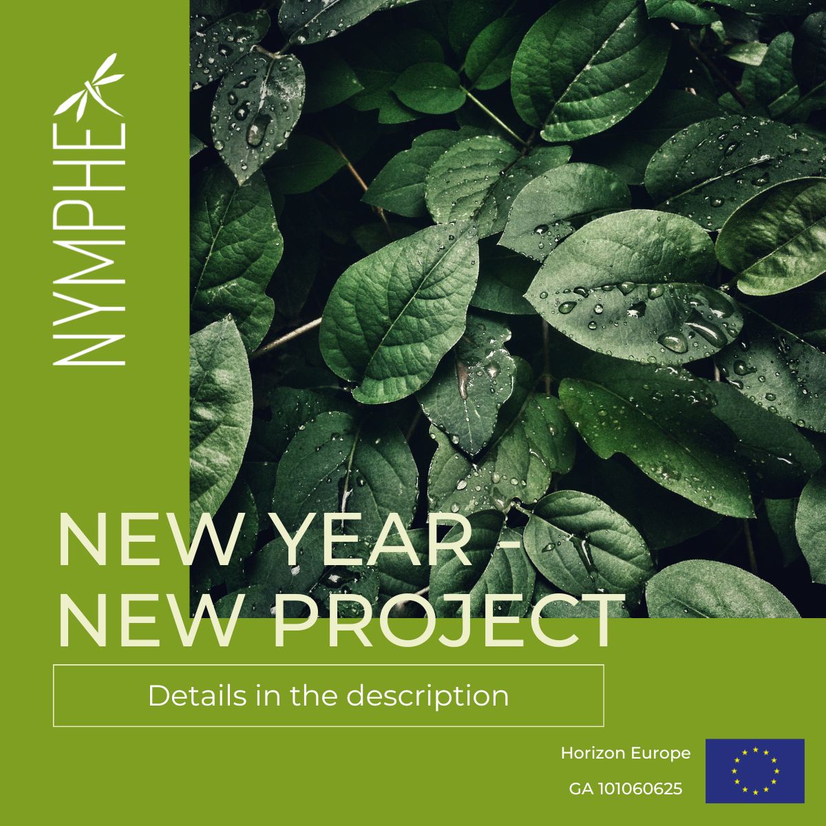 Proiectul NYMPHE pentru combaterea poluării mediului