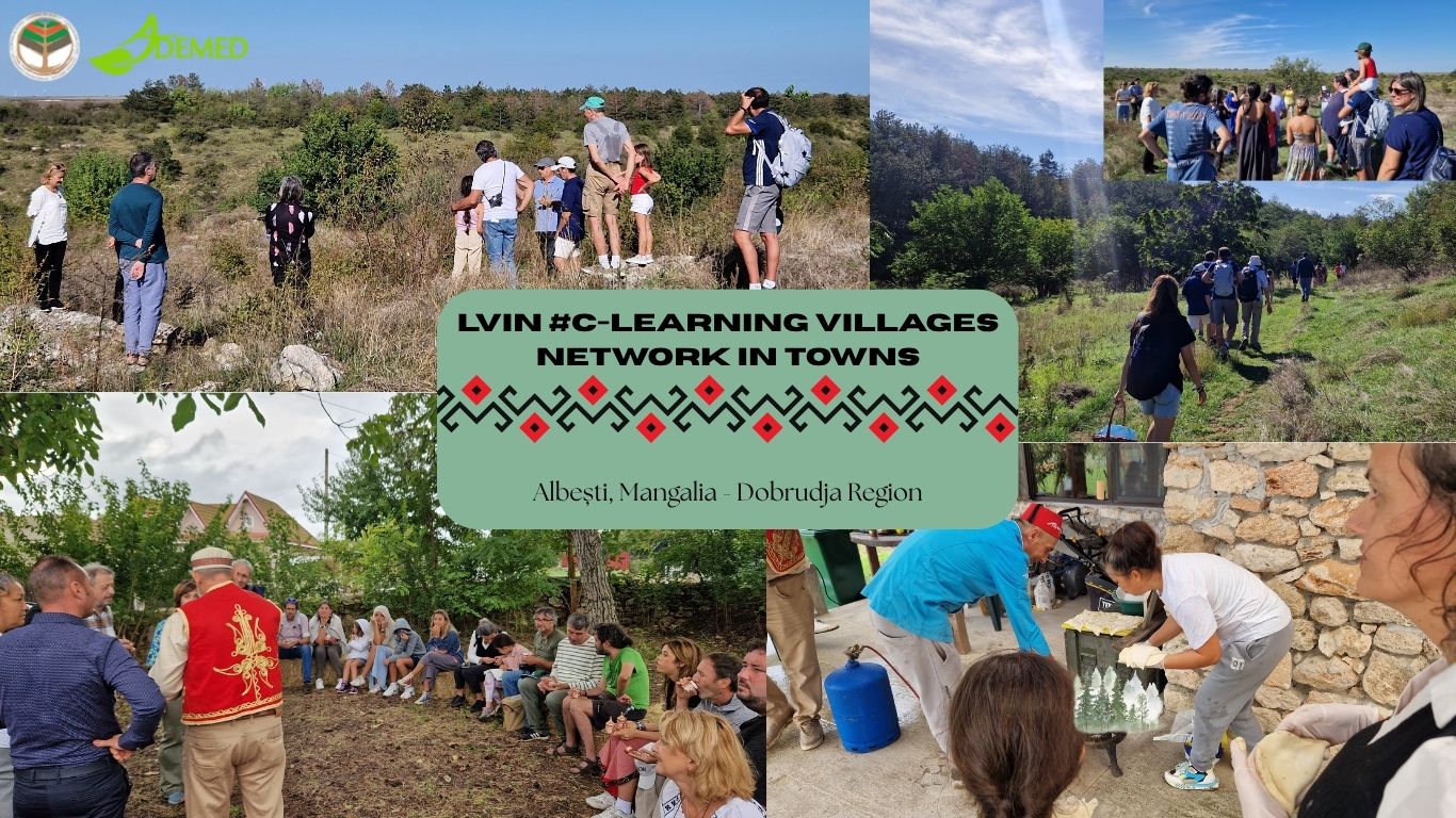 LVIN #C Learning Villages Network in Towns