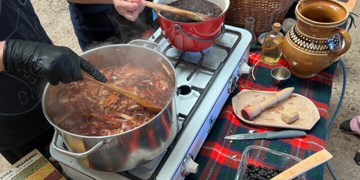 atelier de coloranti naturali ADEMED